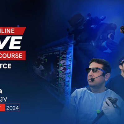 cover-8vo-curso-online-2024